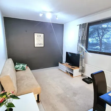 アパート Renovated 2 Bedroom Aparment