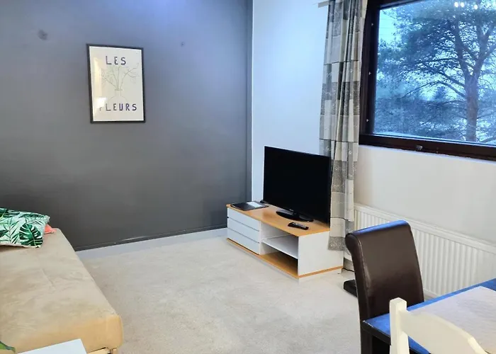 Renovated 2 Bedroom Aparment *